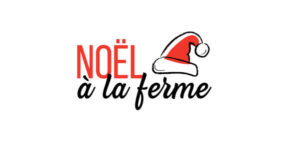 Logo BAF Noel