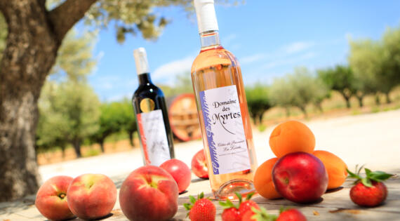 Bienvenue à la ferme Provence Alpes Côte d'Azur Domaine des Myrtes Rosé provencal découverte du terroir