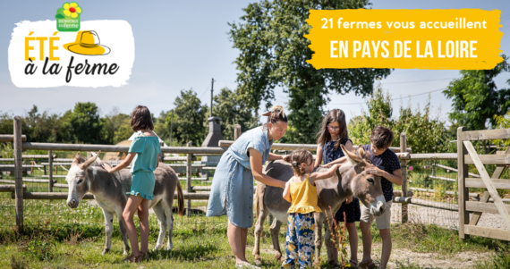 L'été 2022 à la ferme en Pays de la Loire
