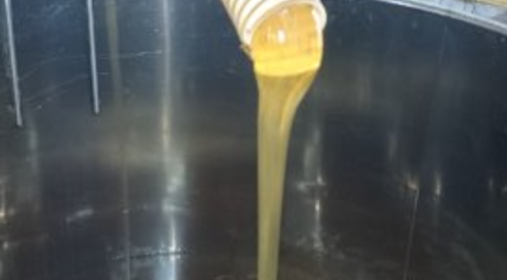 extraction miel de lavande