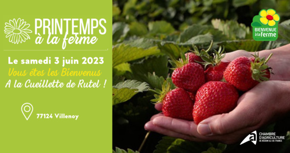 Printemps à la ferme 2023 : marché de producteur et fête de la fraise à la cueillette de Rutel- Villenoy