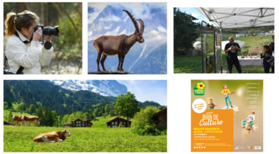 Exposition photos des animaux sauvages des Alpes