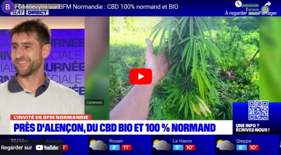 Chanvre CBD normandie Qualité Française